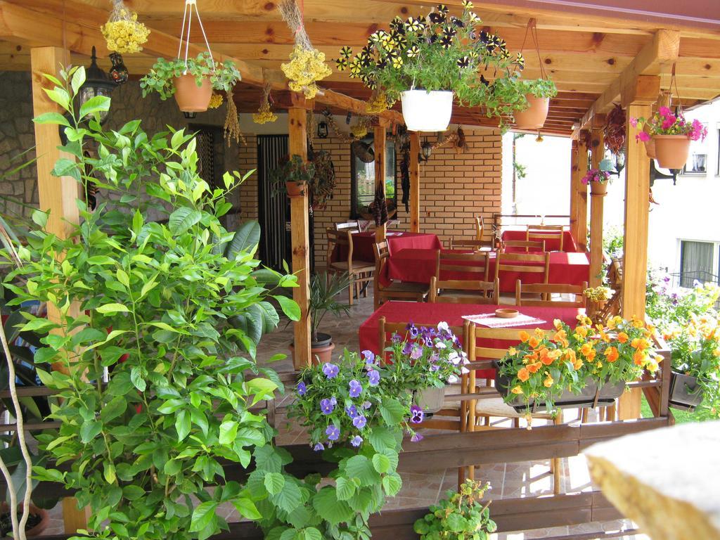 Risto'S Guest House Elshani Buitenkant foto