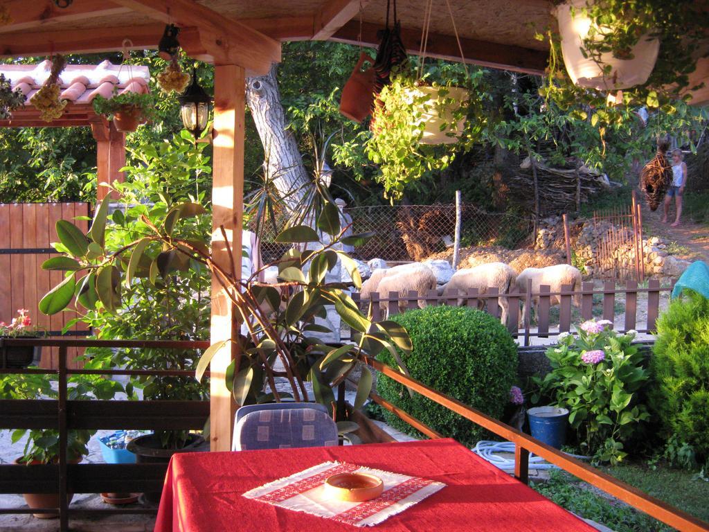 Risto'S Guest House Elshani Buitenkant foto
