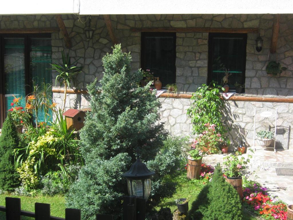 Risto'S Guest House Elshani Kamer foto