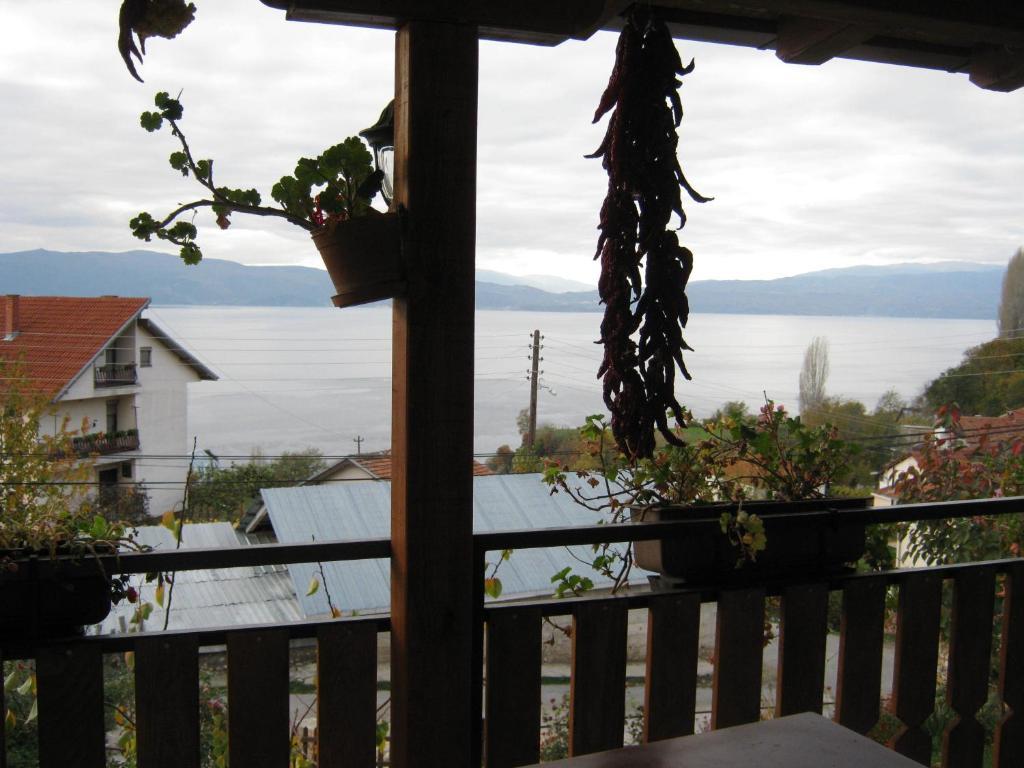 Risto'S Guest House Elshani Kamer foto