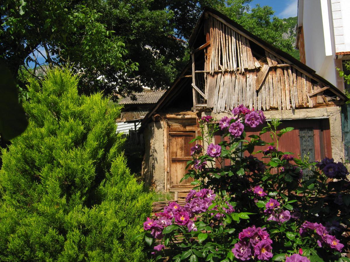 Risto'S Guest House Elshani Buitenkant foto
