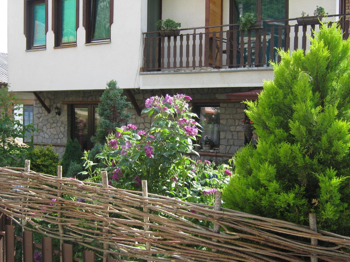 Risto'S Guest House Elshani Buitenkant foto