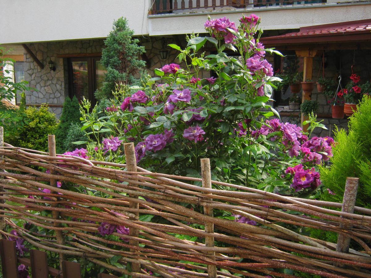 Risto'S Guest House Elshani Buitenkant foto
