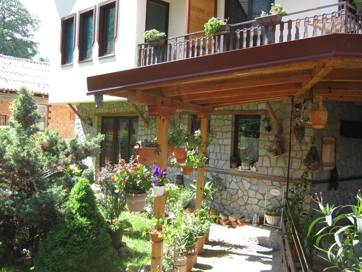 Risto'S Guest House Elshani Buitenkant foto